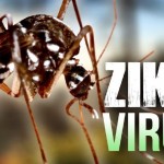 Caso de Zika en la ciudad de Hermosillo, importado de Brasil